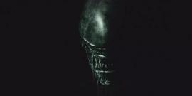 alien covenant, alien, movie, horror movie
