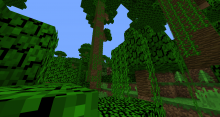 Explore the bounty of the world; some biomes have more than others.